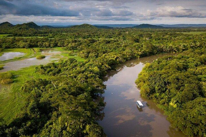 Safari de barco no Parque Nacional do Palo Verde com culinária local