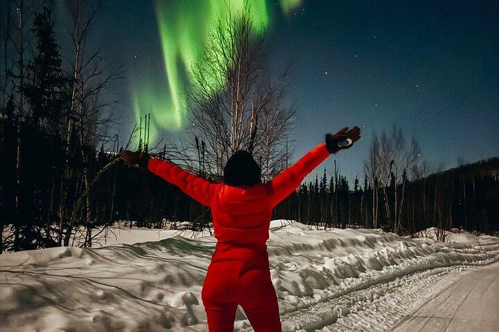 Parque Nacional Denali y Aurora Chase Tour