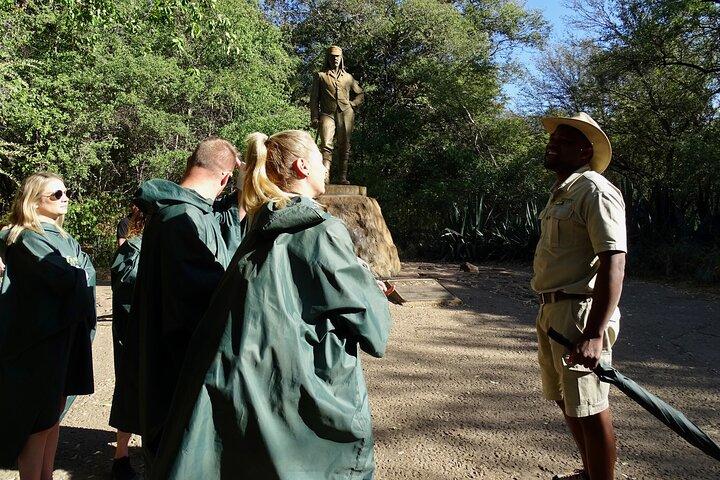 Victoria Falls Zimbabwe Walking Tour Panorama et faune