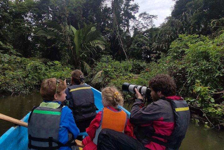 Passeio de canoa pelos canais de Tortuguero
