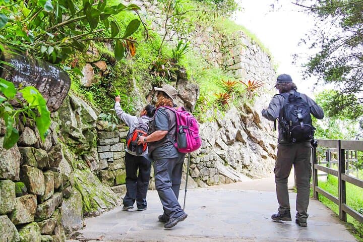 Machu Picchu Official Ticket Circuit 2, Bus & Private Guide