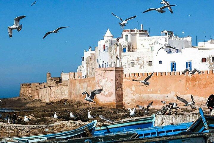 Day Trip to Essaouira
