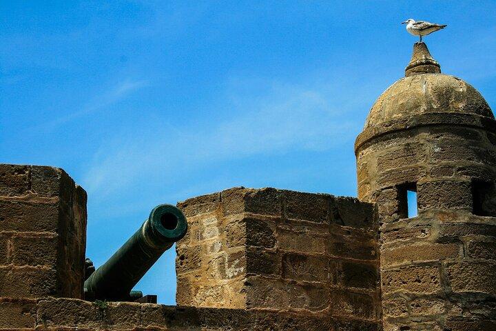 Day Trip to Essaouira