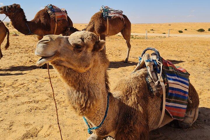 タタウィーンとシェニーニ:チュニジア砂漠のクソールを発見