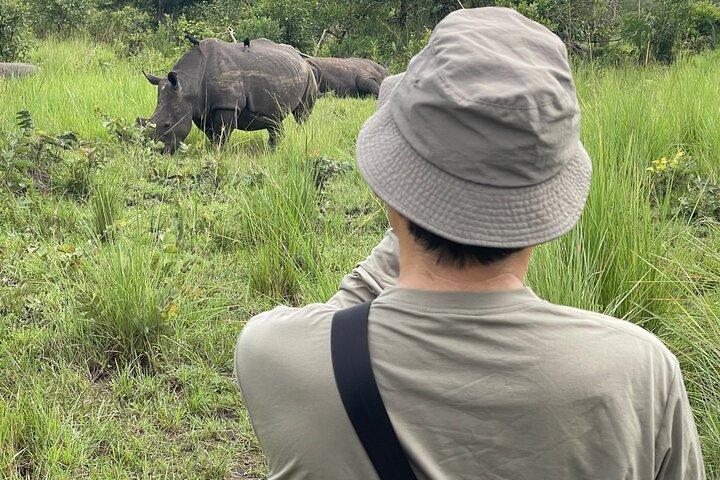 1 Dag Ziwa Rhino Sanctuary Safari og Wildlife Tour, Uganda