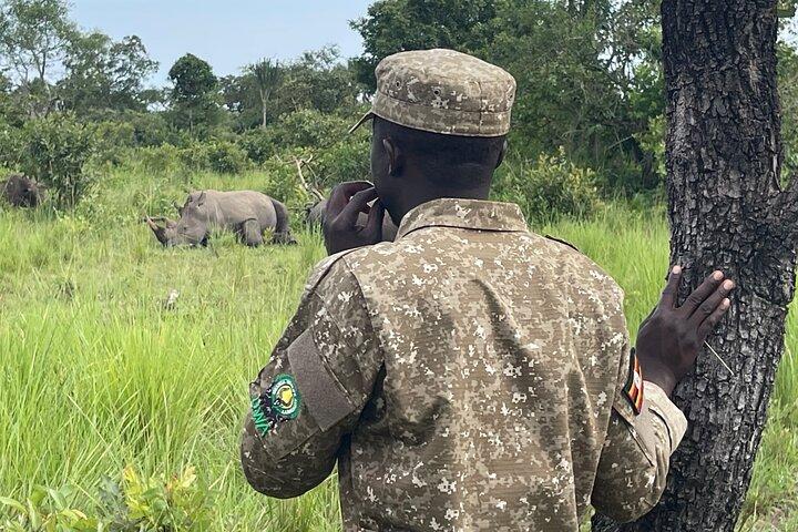 1 Dag Ziwa Rhino Sanctuary Safari og Wildlife Tour, Uganda