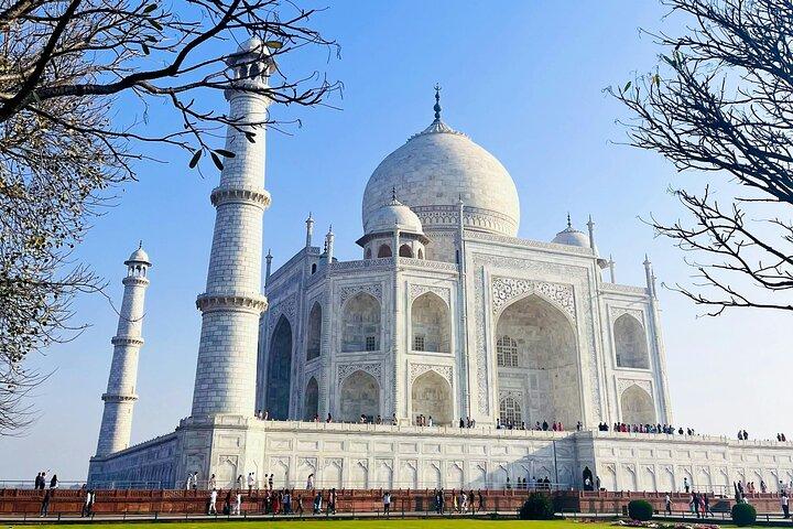 3-Day Ranthambhore Tiger Tour to Agra and Jaipur from Delhi