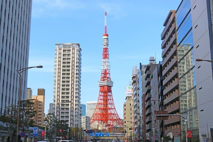 Tokyo Walking Tour : Sumo, Sushi, Tea, Temples and Tokyo Tower