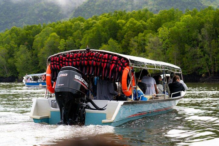 Private Mangrove Boat Tour 2 timers naturskøn udforskning