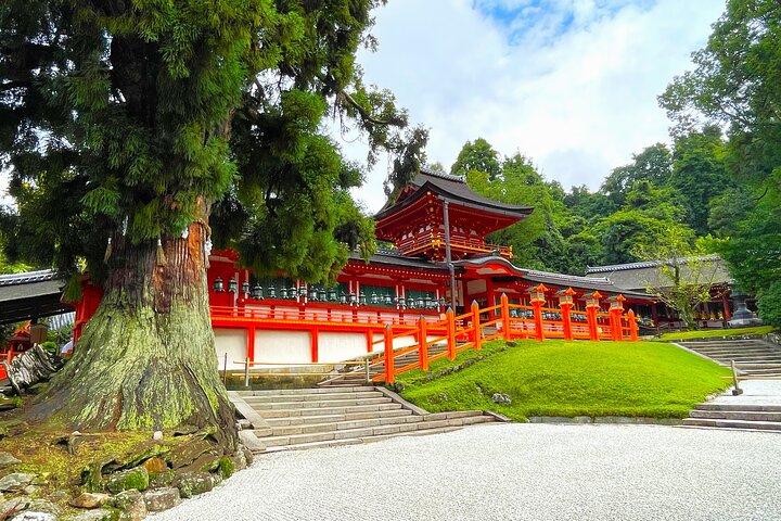奈良: 1.5時間貸切春日大社ツアー-世界遺産