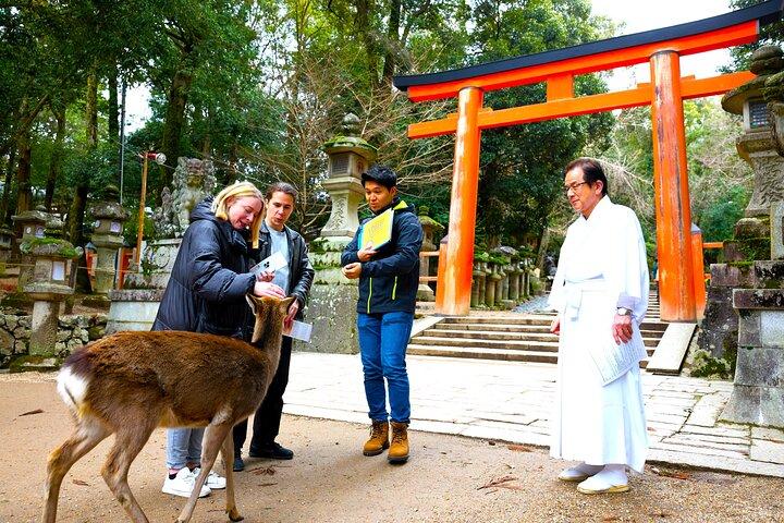 奈良: 1.5時間貸切春日大社ツアー-世界遺産