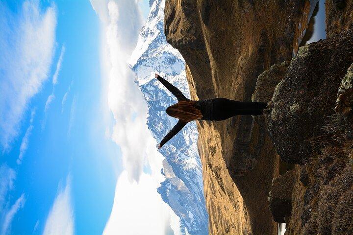 Wanderung Porteria Lago Sarmiento von Puerto Natales