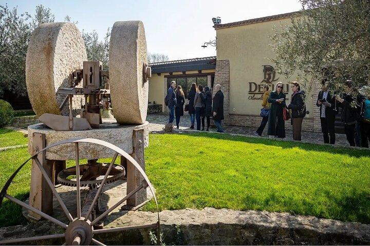 Assisi Dagtrip met Olijfolieproeverij en Gids