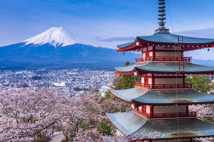 From Tokyo:Mount Fuji Lake Kawaguchi, Oshino Hakkai,Shrine Tour