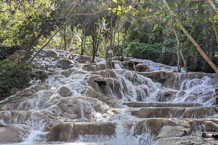 Dunns River Falls & Blue Hole in ocho Rios frm Negril/モンテゴ・ベイ