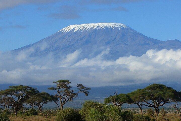 8-daagse Mount Kilimanjaro Trektocht Lemosho Route