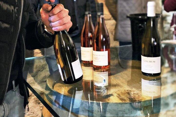 Wijnmakerij Tour en Proeverij 4 wijnen bij Cantina Le Macchie bij Rome