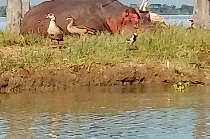 Crescent Island Walking Safari & Lake Naivasha Hippo Boat Cruise