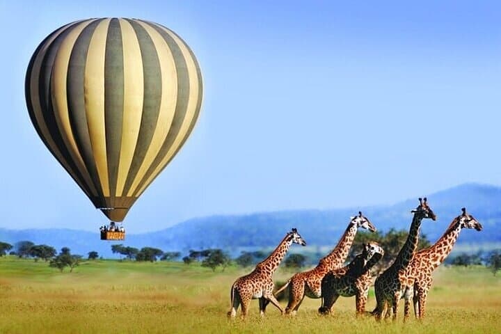 3 Day Safari Tour in Maasai mara with 4x4 vehicle
