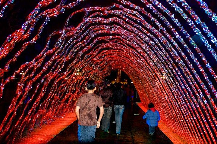 Tour notturno di mezza giornata a Lima con centro storico e spettacolo acquatico