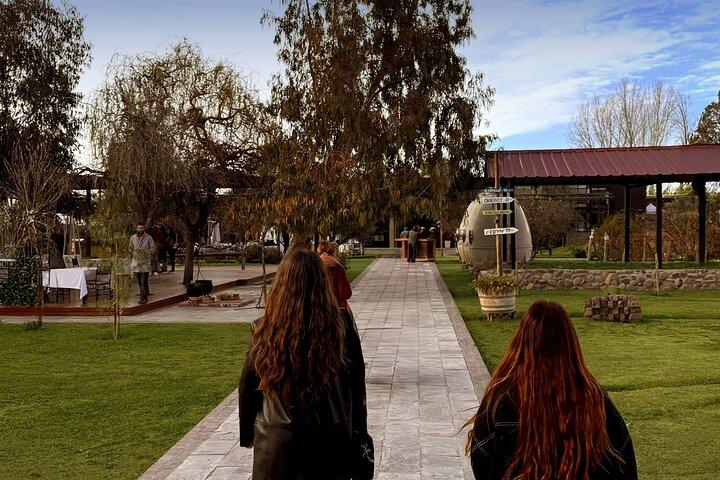 Private Mendoza Wine Tour: Enemigo Tasting + Lunch at Tempus Alba