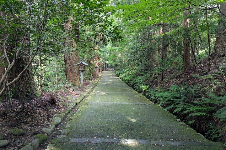金沢手取峡ホワイトロードと白川郷から日帰りツアー