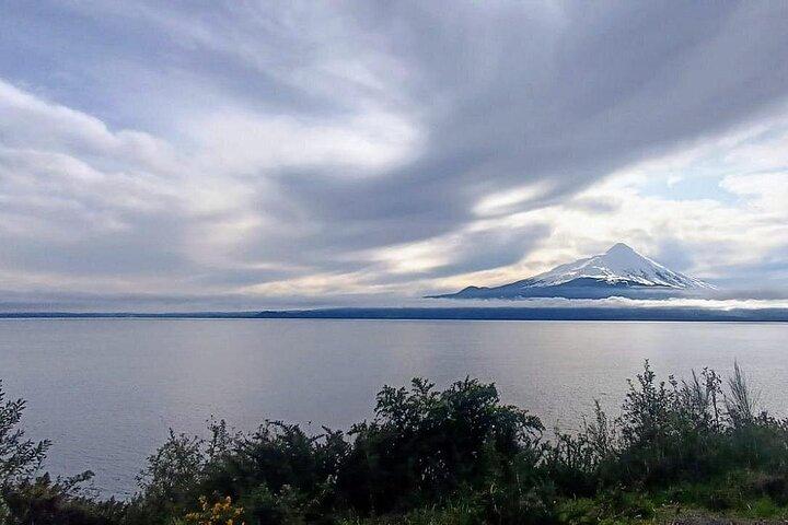 Petrohue Falls og Osorno vulkan Privat heldagstur