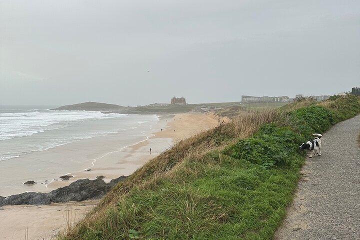 Tour privato di un'intera giornata di Cornovaglia Tintagel, St Ives e altro
