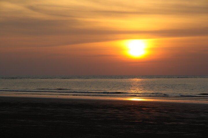 Kota Kinabalu: Beringgis Mangove Fireflies, Sunset Tour & Dinner