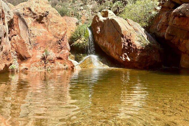 Descubra Paradise Valley Uma escapada panorâmica de Agadir