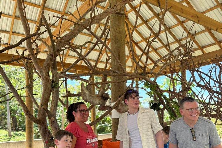 ブレイディーズケイオールインクルーシブプライベートビーチデイパスと野生動物公園