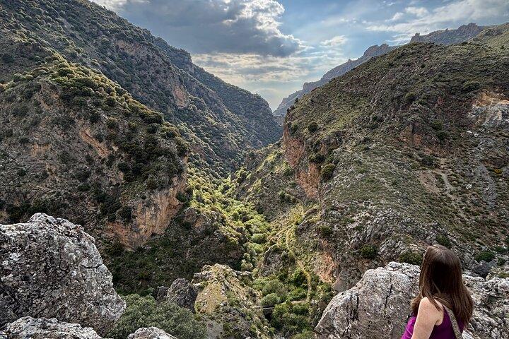 De Grenade : Excursion Safari Sierra Nevada jusqu'à 2500 mètres de haut