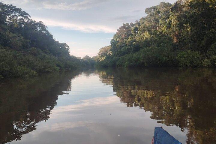3-dages tur til Amazonas-regnskoven fra Iquitos