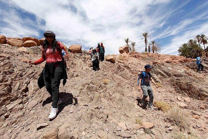 Mount Sinai Sunrise Hike & St. Catherine ab Sharm El Sheikh