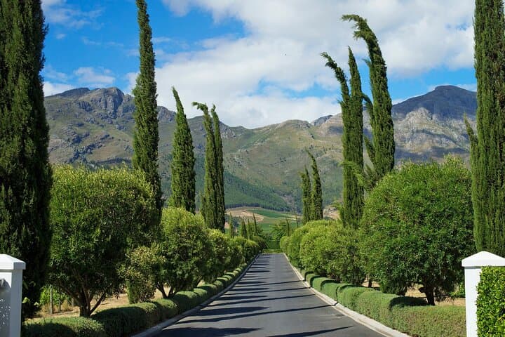 Franschhoek and Stellenbosch Wine Tour with Tastings and Lunch