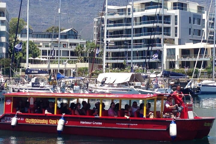 Cape Town: Hop-On Hop-Off Bus & Guided Urban Safari City Combo