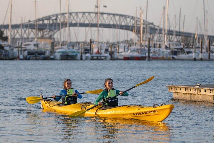 Excursion en kayak à Auckland - Explorez le front de mer