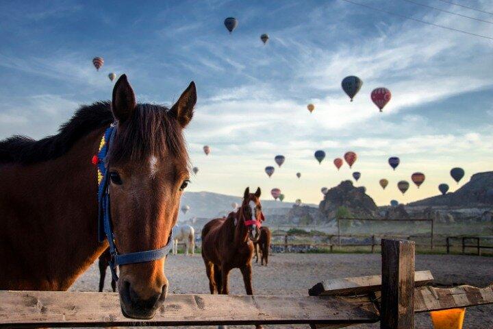 Restauranter i nærheden af Cappadocia Horseback Riding: Sunset Valley Tour