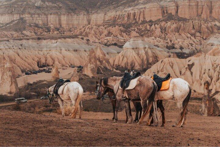 Équitation en Cappadoce : Tour de la vallée du coucher du soleil