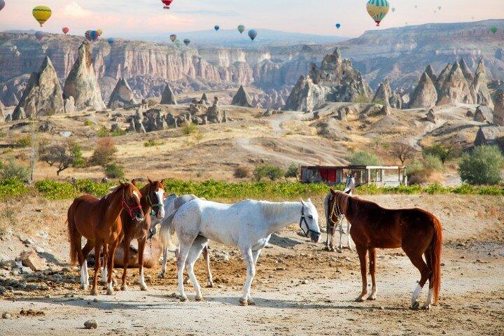 Équitation en Cappadoce : Tour de la vallée du coucher du soleil