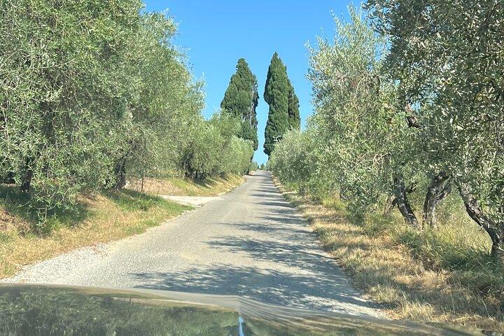 Visite privée de Sienne et San Gimignano en Toscane au départ de Rome