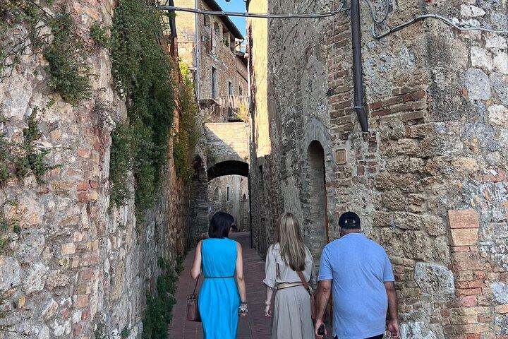 Siena och San Gimignano Toscana privat dagstur från Rom
