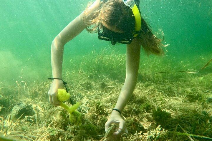 All-inclusive Privat Scalloping Charter på Floridas naturkust