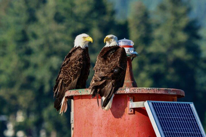 Tour en barco por la ciudad y la naturaleza de Vancouver