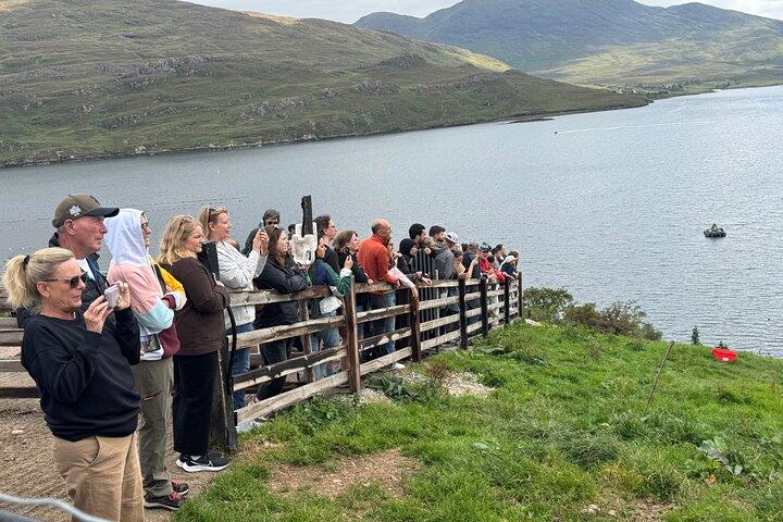 Excursión privada de un día en Connemara/Kylemore Abbey/Sky Road