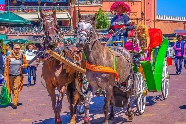 Marrakesh: One-hour trip to traditional horse-drawn carriage