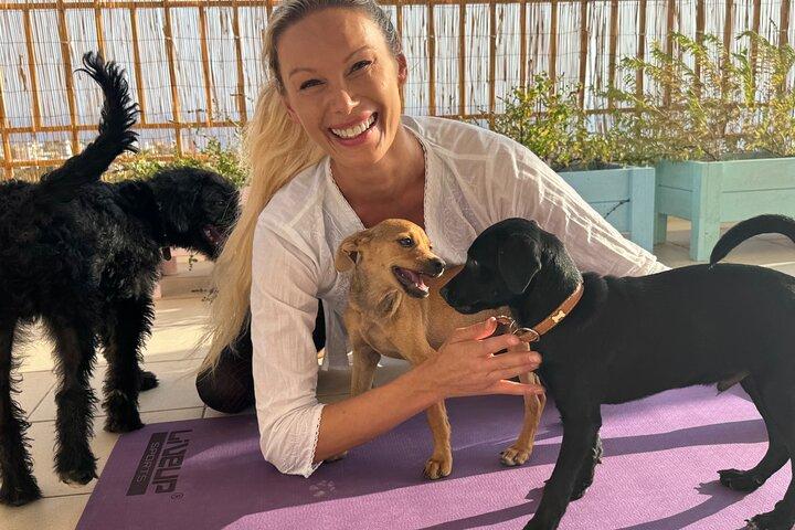 Chiot Yoga à einer villa bei Paphos (Kleingruppe)