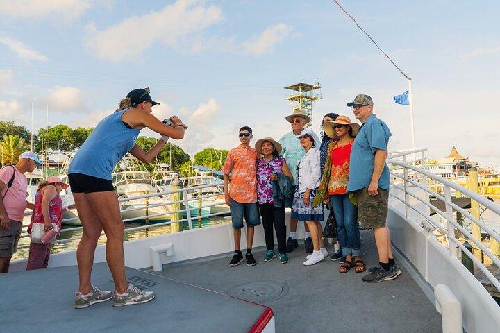 Sunset Dolphin Cruise i Destin