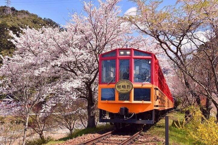 Kyoto Sansen-in Arashiyama Train 1 Tagestour von Osaka oder Kyoto