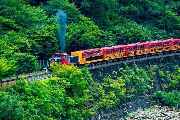 Kyoto Sansen-in Arashiyama Train 1 Tagestour von Osaka oder Kyoto
